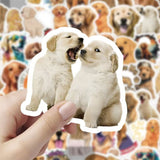 Free Member Gift-Custom Pet Stickers 60 Face Luggage Skateboard Decorative Stickers