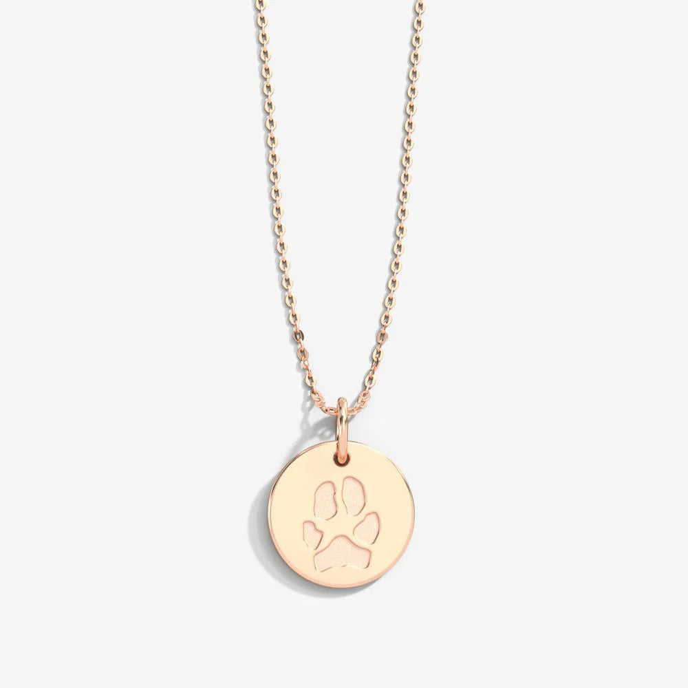 Double-Sided Custom Paw & Name necklace