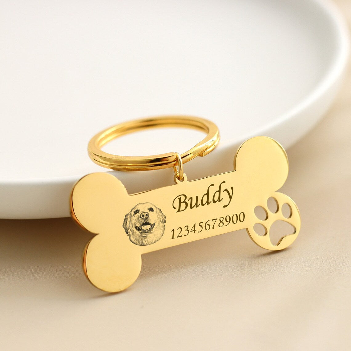 Custom Engraving Personalized Dog Bone Collar