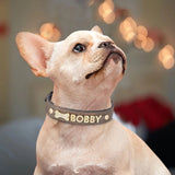 Personalized Leather Crystal Dog ID Collar