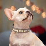 Personalized Leather Crystal Dog ID Collar