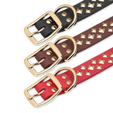 Personalized Genuine Leather Engraved Dog ID Studded Collar