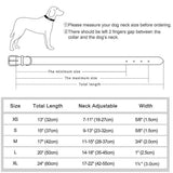 Leather Dog ID Collar Set