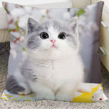 Free Member Gift-Customized Animal Pattern Double-Sided Pillow