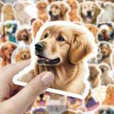 Free Member Gift-Custom Pet Stickers 60 Face Luggage Skateboard Decorative Stickers