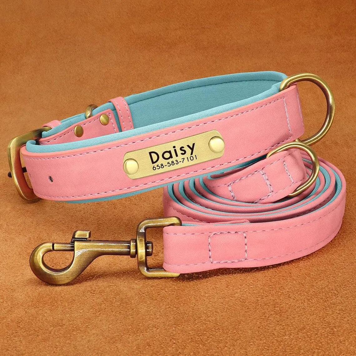 Leather Dog ID Collar Set