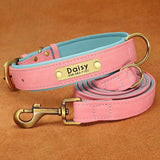 Leather Dog ID Collar Set