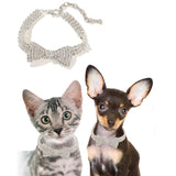 Pet Drill Chain Collar Leash Neck Collar Jewelry