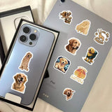 Free Member Gift-Custom Pet Stickers 60 Face Luggage Skateboard Decorative Stickers