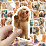 Free Member Gift-Custom Pet Stickers 60 Face Luggage Skateboard Decorative Stickers