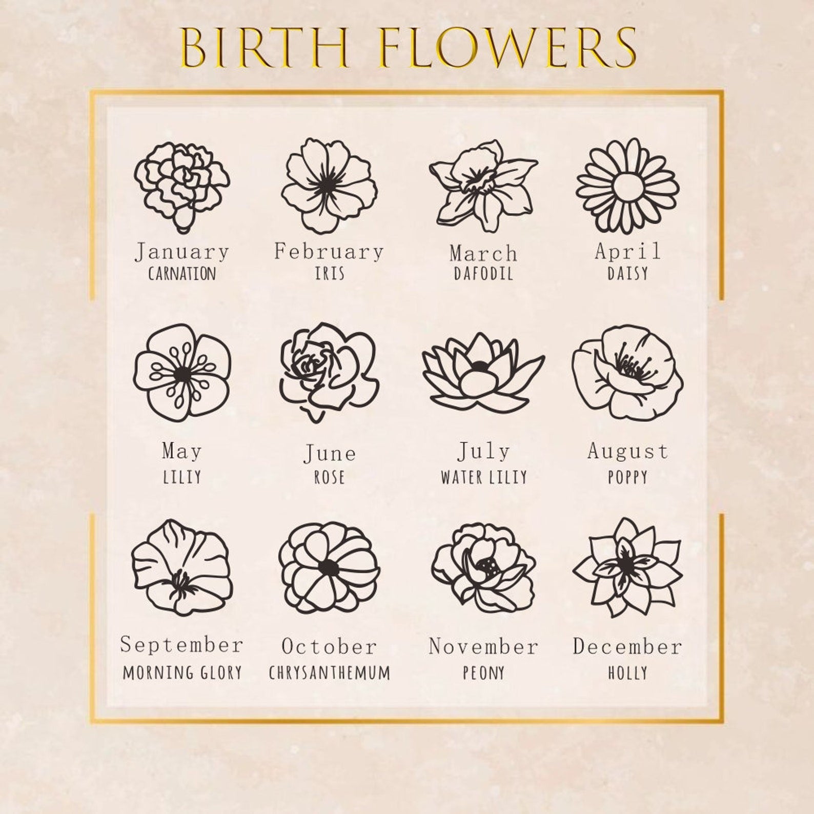 A reference chart showing the 12 birth month flowers, from January Carnation to December Holly, for customizing jewelry.