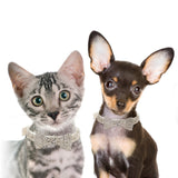 Cat and dog sitting next to each other, both wearing white rhinestone bow tie collars against a white background.