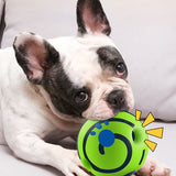 Free Member Gift-Dog Toys Sound Ball Boredom Teething Ball