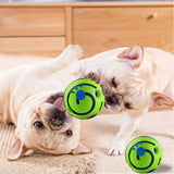 Free Member Gift-Dog Toys Sound Ball Boredom Teething Ball