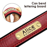 Leather Dog ID Collar Set